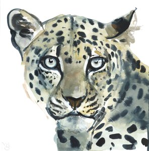 Leopard, 2015 von Mark Adlington