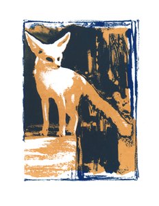 Kleiner Wüstenfuchs, 2015
