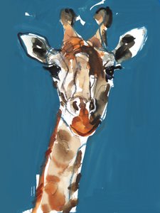 Masai-Giraffe