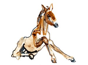 Ockerfohlen (Przewalski), 2013 von Mark Adlington