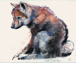 Polnischer Wolfswelpe, 2001 von Mark Adlington