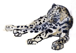 Liegender (Arabischer Leopard) von Mark Adlington