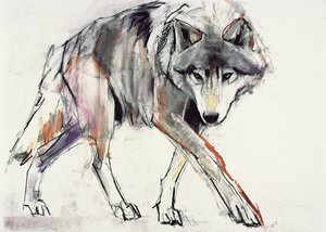 Wolf von Mark Adlington