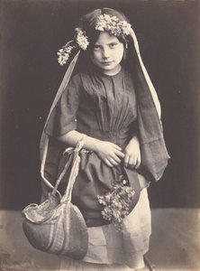 Wildblumen, ca. 1857