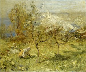 Apfelblüten