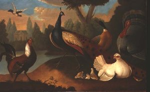 Landschaft mit verschiedenen Vögeln