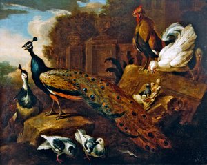 Pfauen, Tauben und andere Vögel und ein klassisches Gebäude