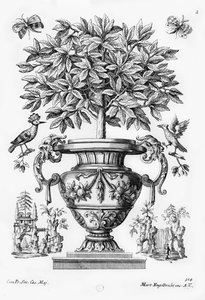 Zitrusbäume, ca. 1735