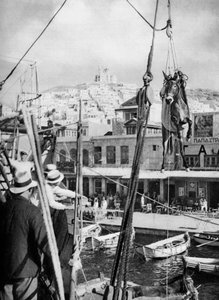 Das Verladen von Maultieren, Syros Insel, Griechenland, 1937 von Martin Hurlimann