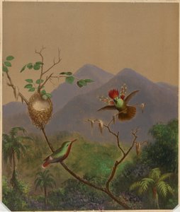 Brasilianische Kolibris III von Martin Johnson Heade