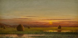 Sumpfgebiete von Martin Johnson Heade