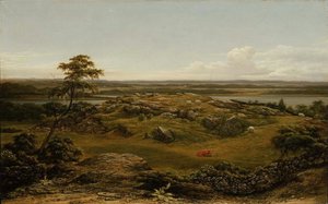 Felsen in Neuengland von Martin Johnson Heade