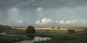 Plötzlicher Schauer, Newbury Marshes