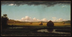 Sommerschauer von Martin Johnson Heade