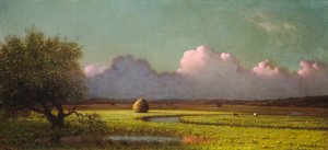 Sonnenlicht und Schatten: Die Newbury-Marschen, ca. 1871-1875 von Martin Johnson Heade
