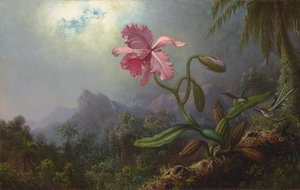Zwei Kolibris mit einer Orchidee 1875