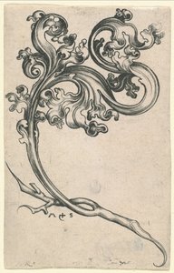 Blattornament von Martin Schongauer
