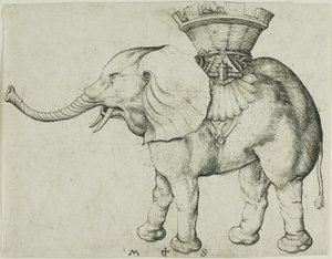 Der Elefant