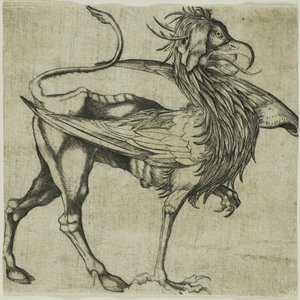Der Greif von Martin Schongauer