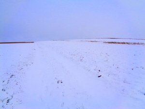 Felder im Winter von Martina Konitzky