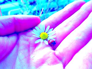 Liebe von Martina Konitzky