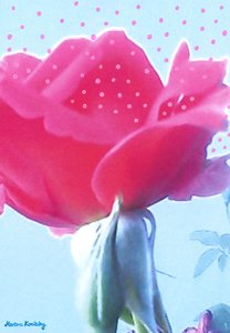 Rosa Pink