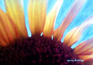 Sonnenblume und Sommerhimmel