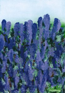 Lavendel