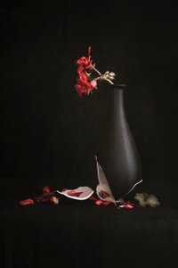  von Martine Benezech