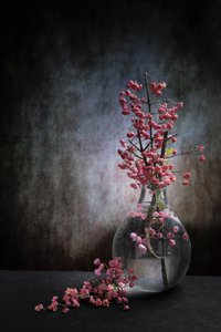  von Martine Benezech