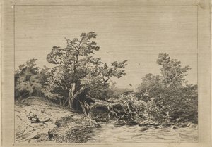 Sturm