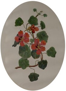 Kapuzinerkresse, ca. 1870 von Mary Dakeyne Townroe
