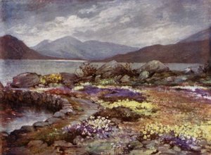 Schottische Gärten: Corrour