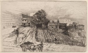 Eine Stadtfarm—New York von Mary Nimmo Moran