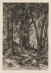 Innenansicht eines kalifornischen Waldes nach Thomas Moran, 1888