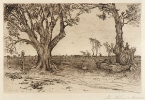 Alte Linden - In der Nähe von Easthampton von Mary Nimmo Moran