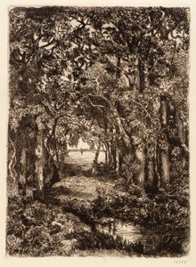 Das Meer durch den Wald von Mary Nimmo Moran