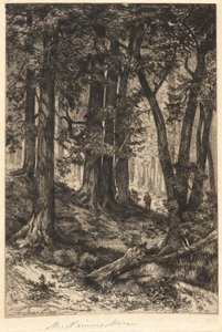 Ohne Titel (Waldszene)