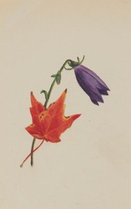 Ohne Titel, ca. 1876