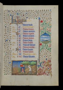 Arbeit des Monats - Februar