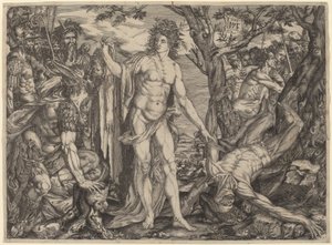 Apollo und Marsyas