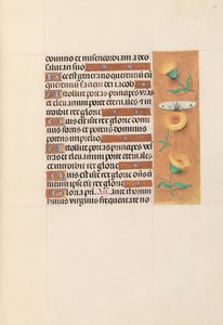 Stundenbuch der Königin Isabella der Katholischen, Königin von Spanien: Fol. 103r, ca. 1500 von Master of the First Prayerbook of Maximillian