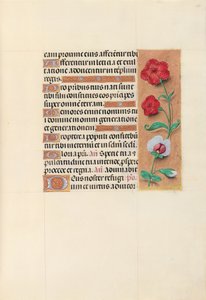 Stundenbuch der Königin Isabella der Katholischen, Königin von Spanien: Fol. 105r, um 1500