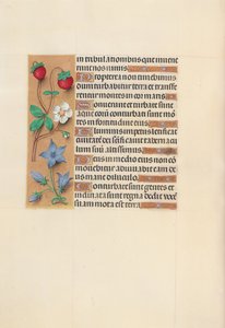 Stundenbuch der Königin Isabella die Katholische, Königin von Spanien: Fol. 105v von Master of the First Prayerbook of Maximillian