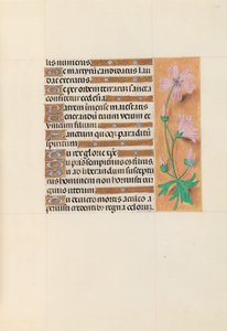 Stundenbuch der Königin Isabella der Katholischen, Königin von Spanien: Fol. 113r, ca. 1500