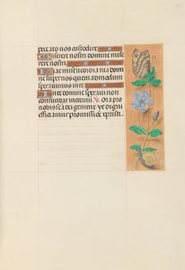 Stundenbuch der Königin Isabella der Katholischen, Königin von Spanien: Fol. 114r, um 1500
