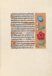 Stundenbuch der Königin Isabella der Katholischen, Königin von Spanien: Fol. 117r, ca. 1500