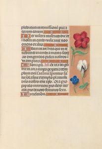 Stundenbuch der Königin Isabella die Katholische, Königin von Spanien: Fol. 124r, um 1500