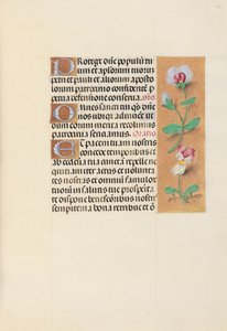 Stundenbuch der Königin Isabella die Katholische, Königin von Spanien: Fol. 125r, um 1500