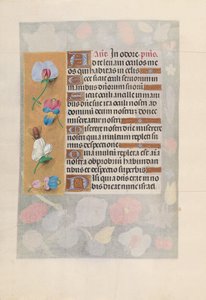 Stundenbuch der Königin Isabella der Katholischen, Königin von Spanien: Fol. 137v, ca. 1500